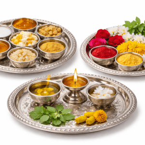 Sarva Seva - Complete All-in-One Seva at Ruju Yogi Foundation