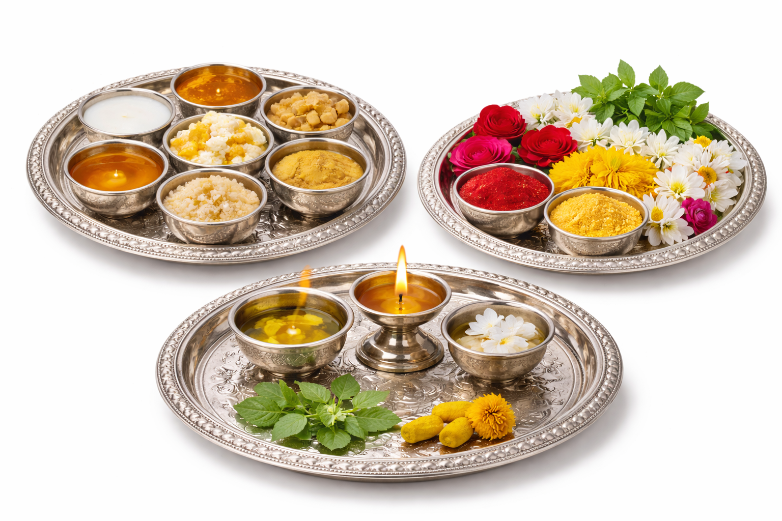 Sarva Seva - Complete All-in-One Seva at Ruju Yogi Foundation