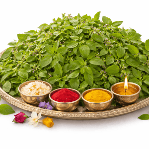 Tulasi Archane Seva - Sacred Tulasi Worship at Ruju Yogi Foundation