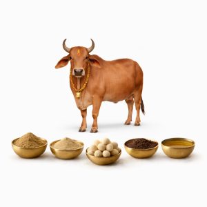 Gau Pooja Seva - Sacred Gau Mrittika Prasada at Ruju Yogi Foundation